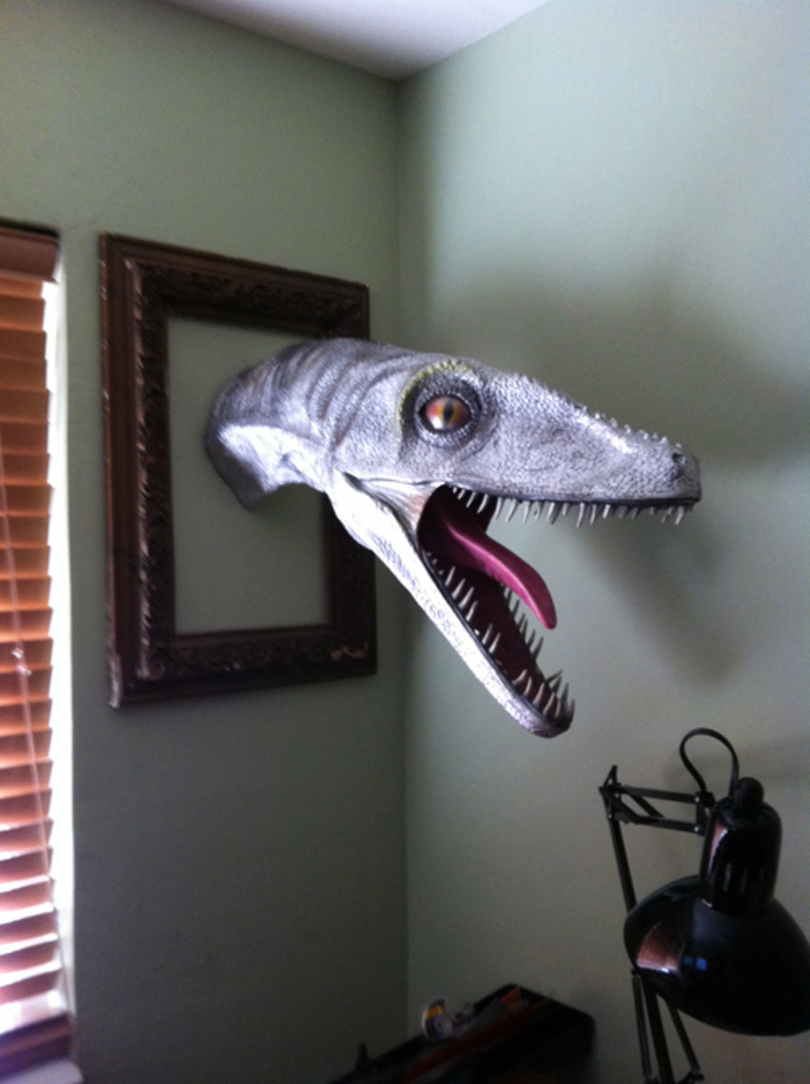 pet-velociraptor-care-with-valuable-faqs