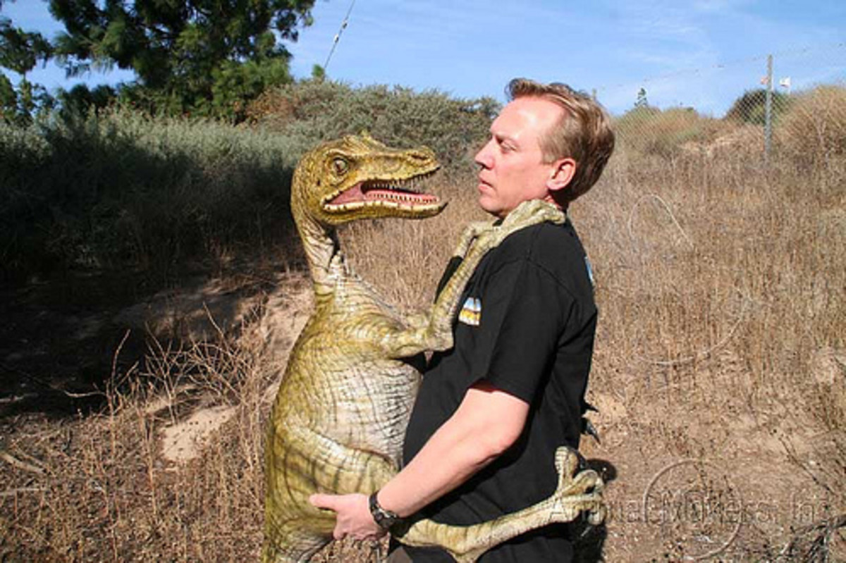 Pet Velociraptor Care With Valuable FAQs HubPages