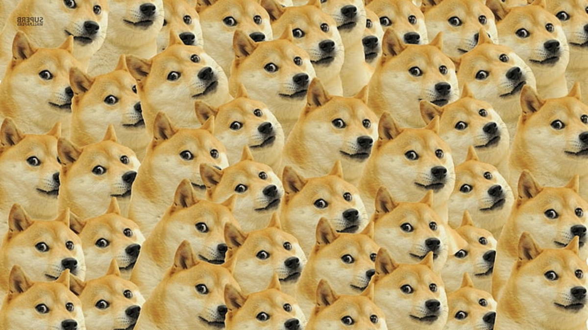 Will Doge Actually Go To The Moon? - HubPages