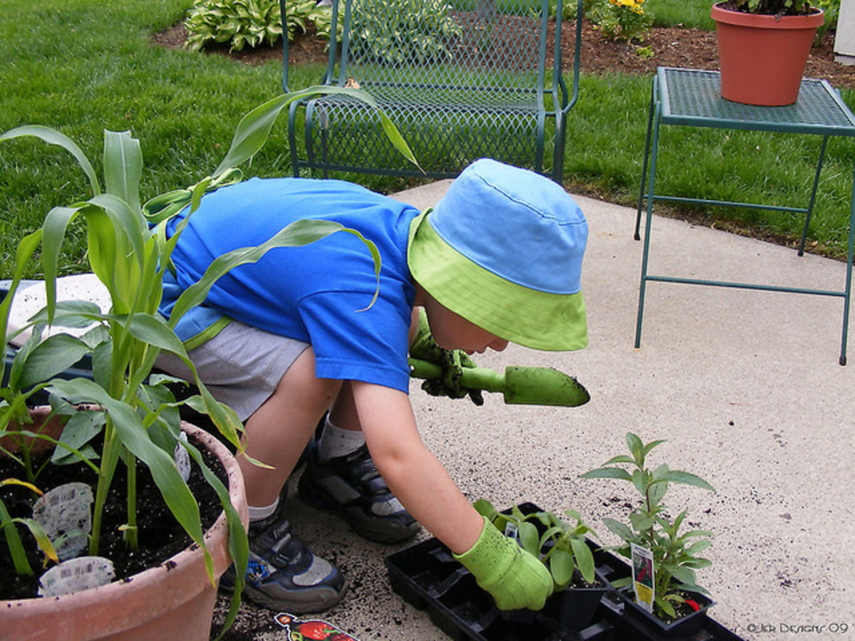 Gardening fun for kids