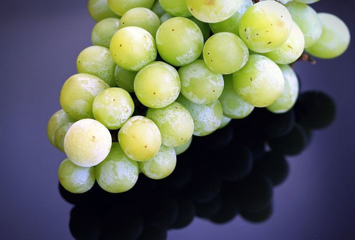 Recipes and Ideas for Using Frozen Grapes