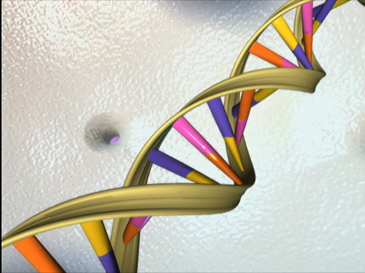 biology-3-chemical-bases-of-the-life-2