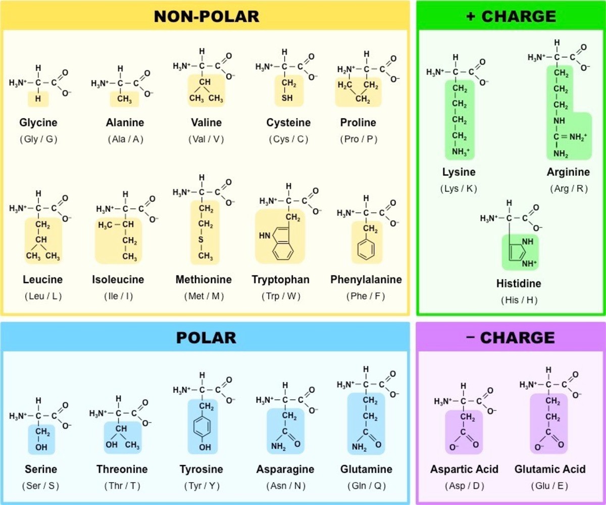 biology-3-chemical-bases-of-the-life-2