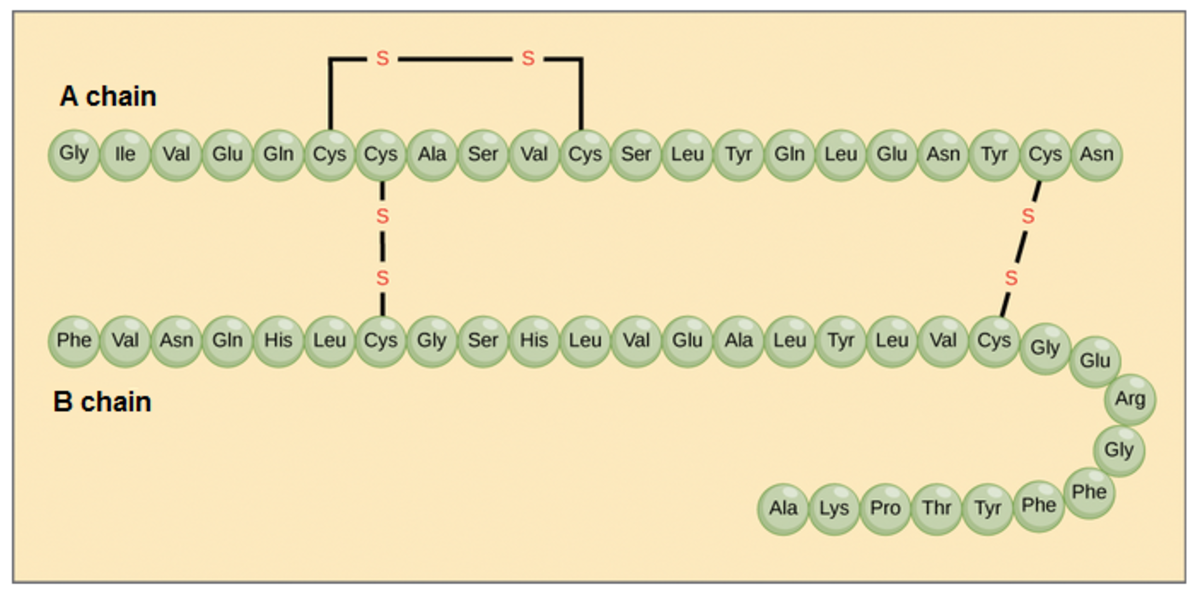 biology-3-chemical-bases-of-the-life-2