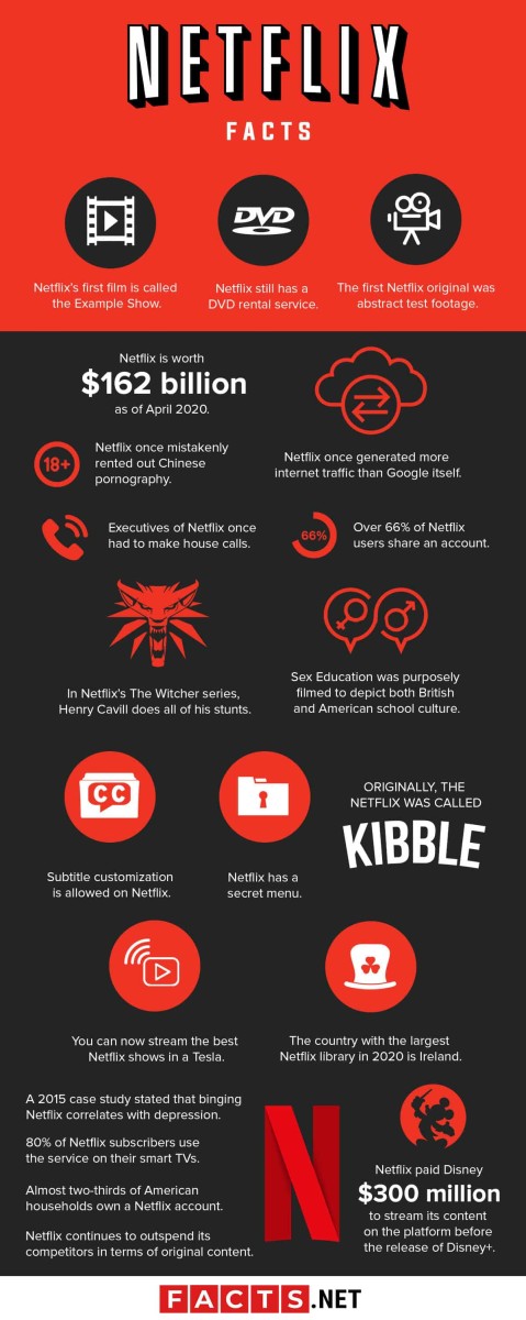 This infographic outlines a variety of facts about Netflix. 