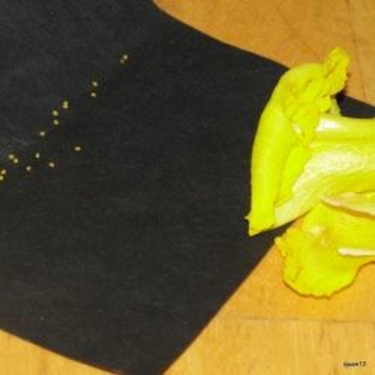 Dissecting a flower and discovering the pollen (on the black paper)