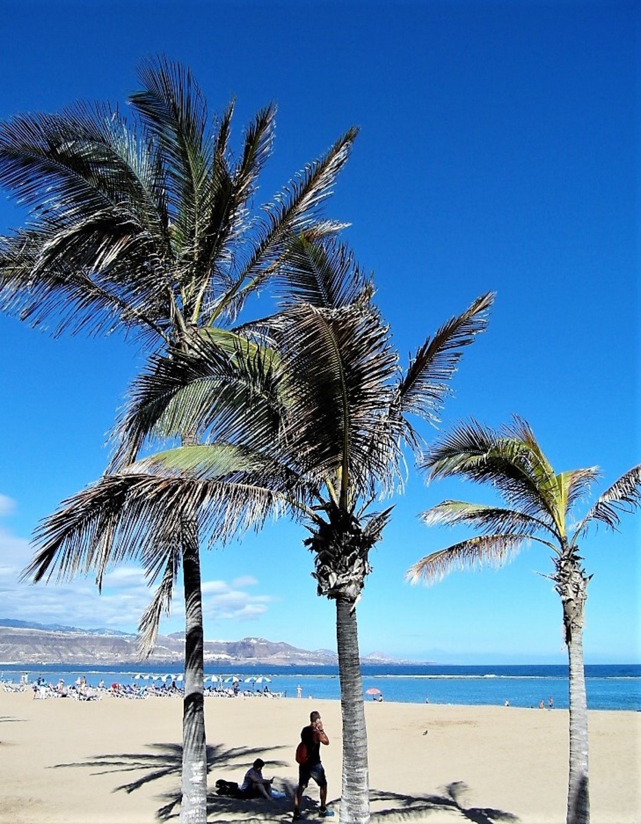 Playa de las Canteras.