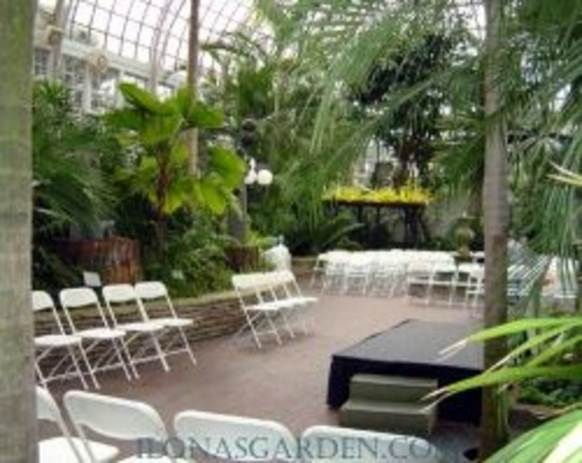a-conservatory-wedding
