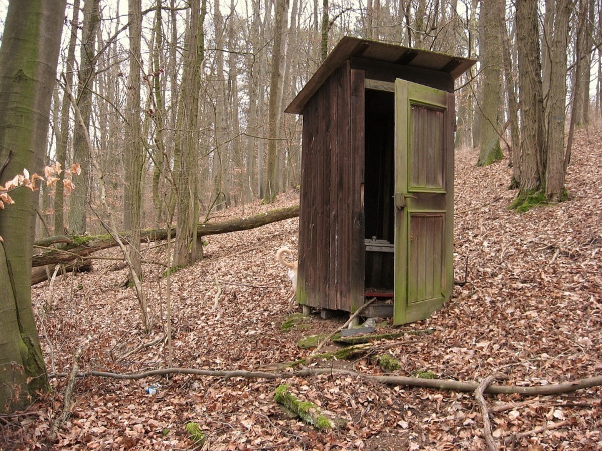 The outhouse has been on a decline, and everyone is well aware why. 