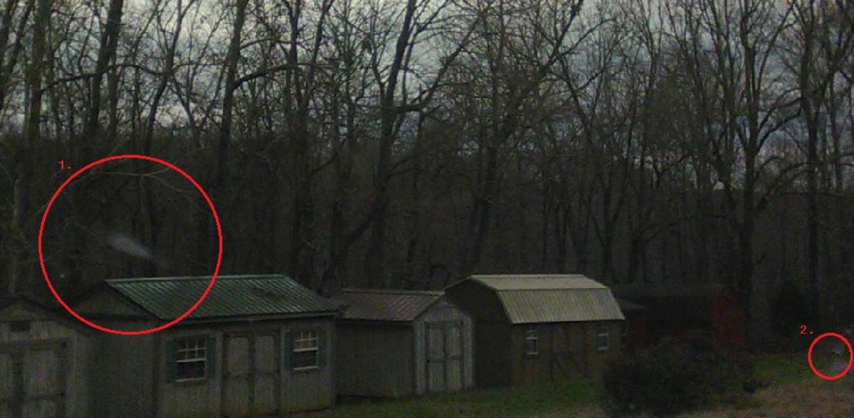 Circle 1, shows an orb darting above a shed. Circle 2, shows some strange blue, ghostly creature with coal like eyes.