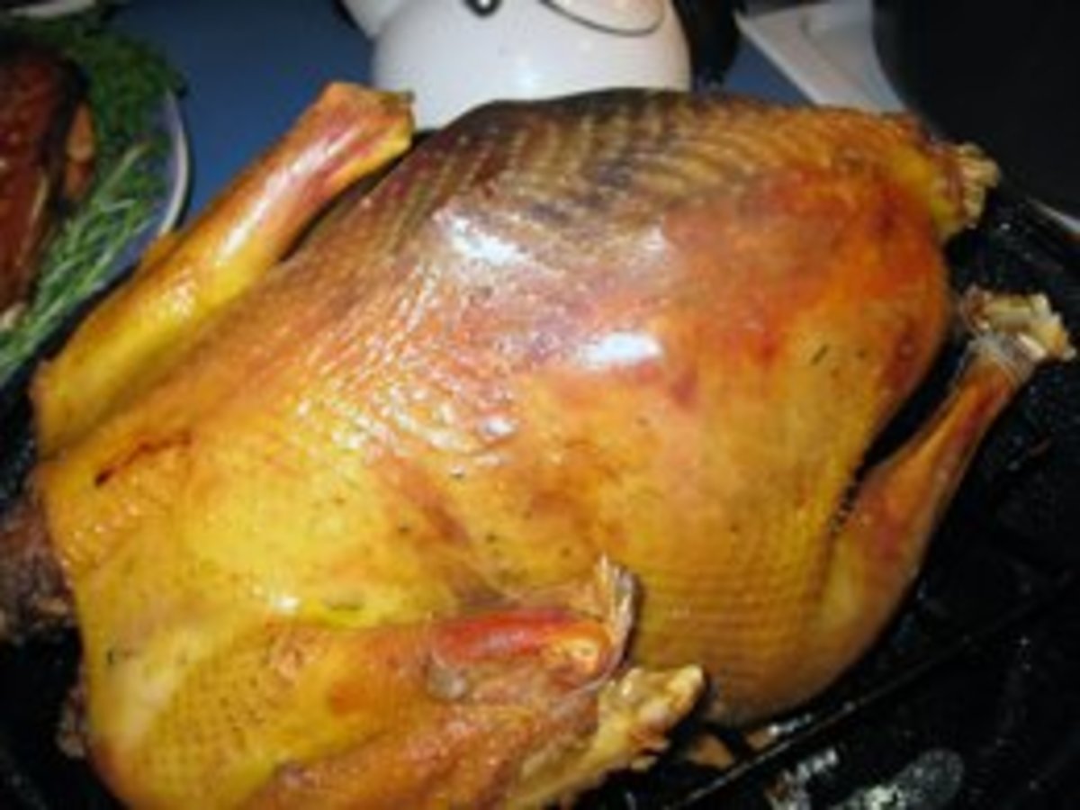 tips-for-cooking-a-wild-turkey
