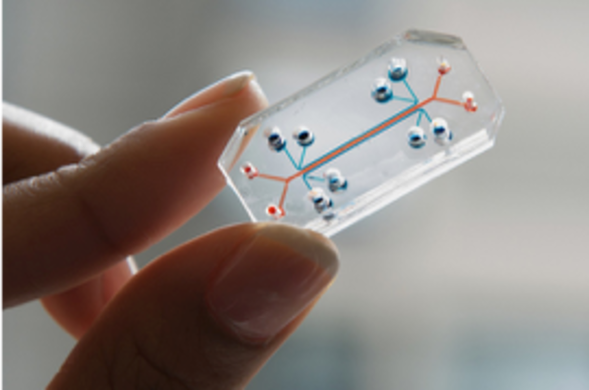 This little device is known as lung on a chip. It is lined with human lungs cells and can be used to lung’s diseases and screen potential drugs process instead of using animals  