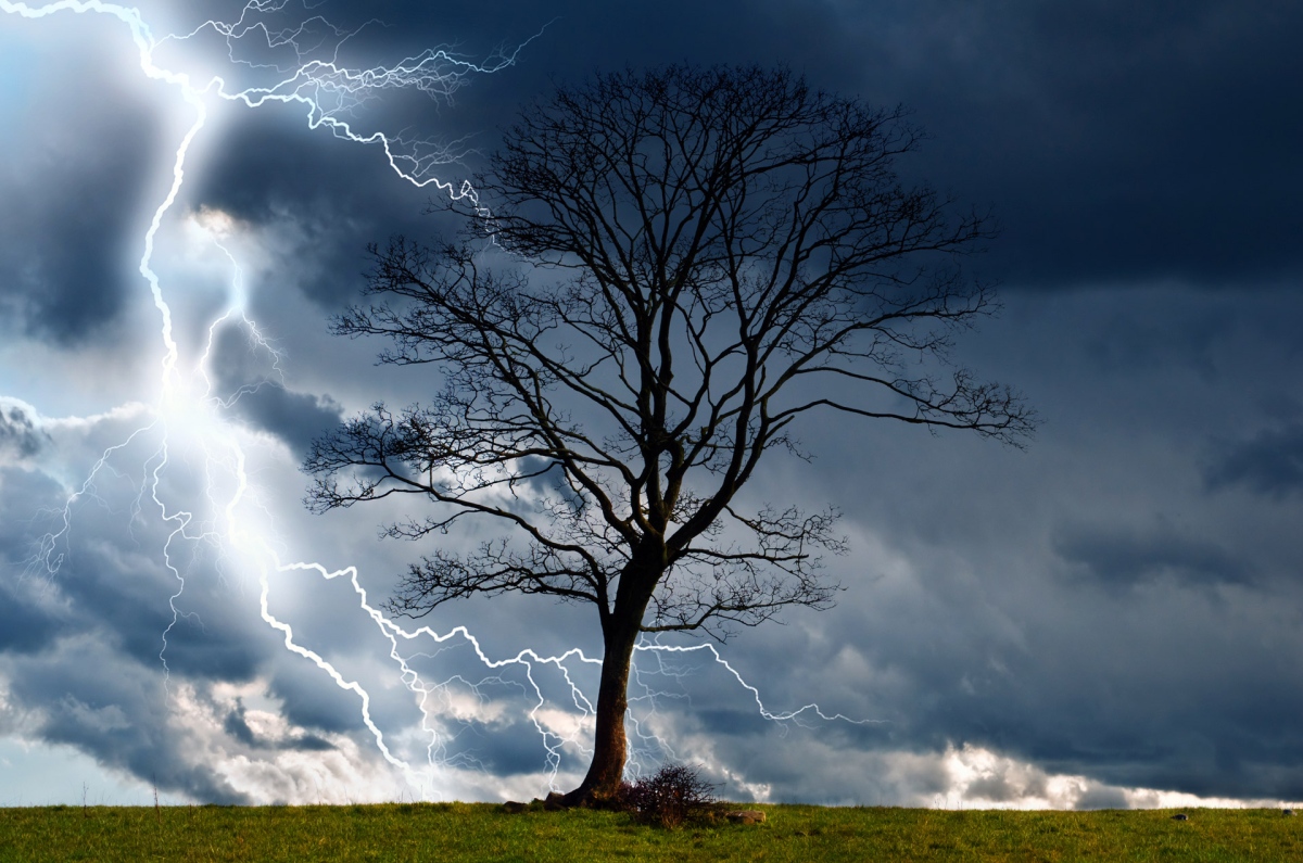 The Storm: A Short Poem
