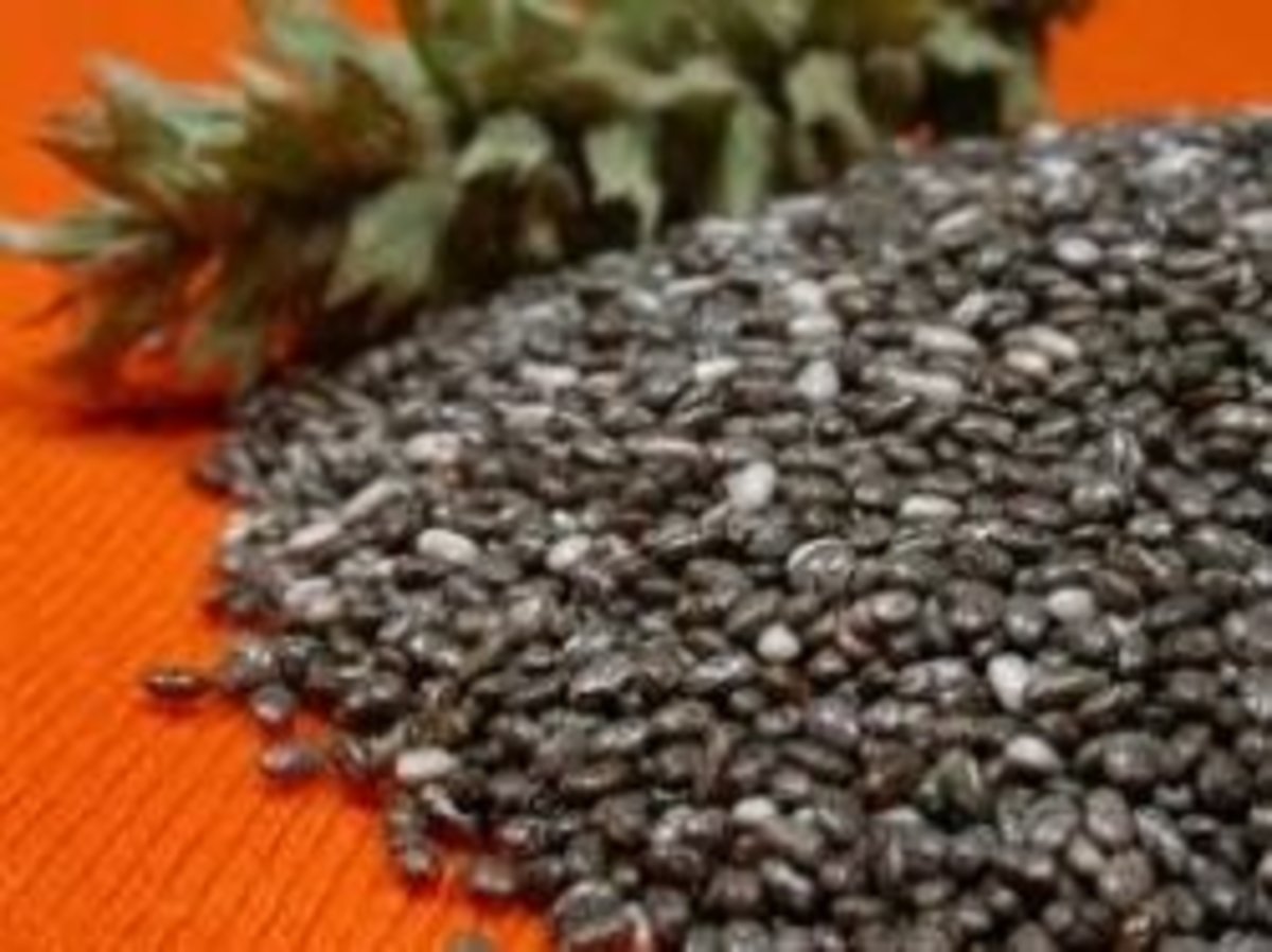 the-benefits-of-chia-seeds