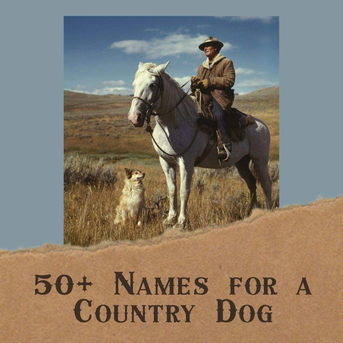 50-redneck-and-bodacious-country-music-dog-names-pethelpful