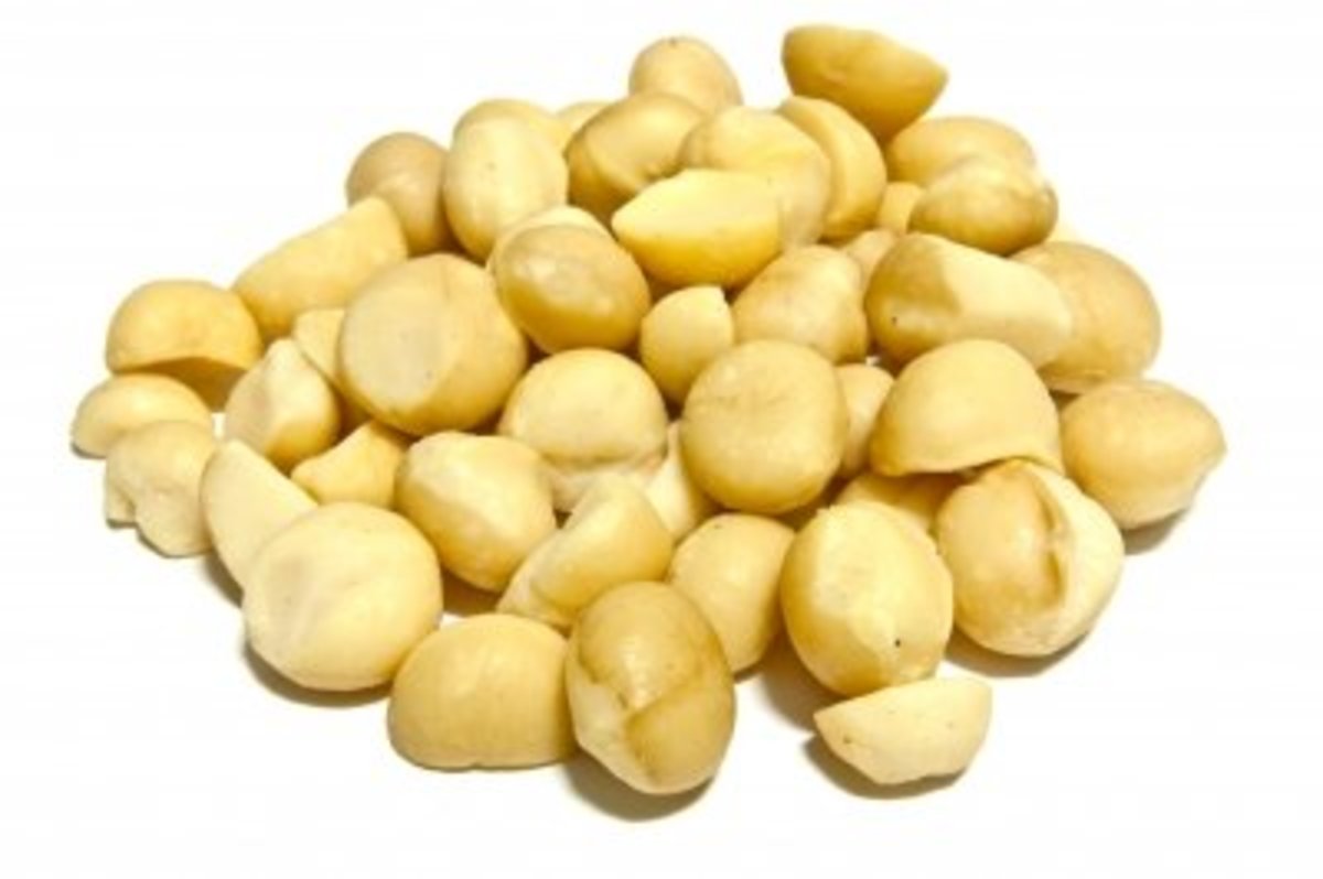 macadamia nuts without shells