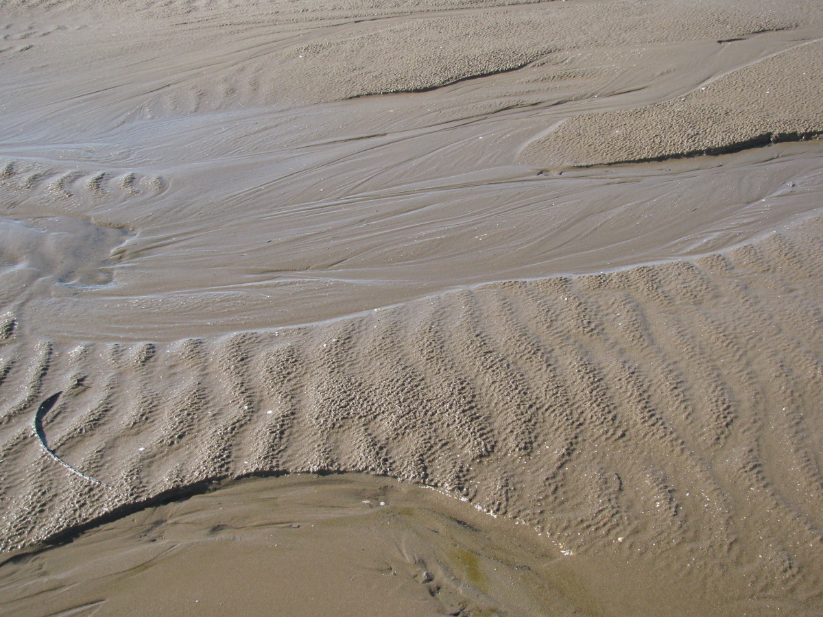 Paths in the Sand