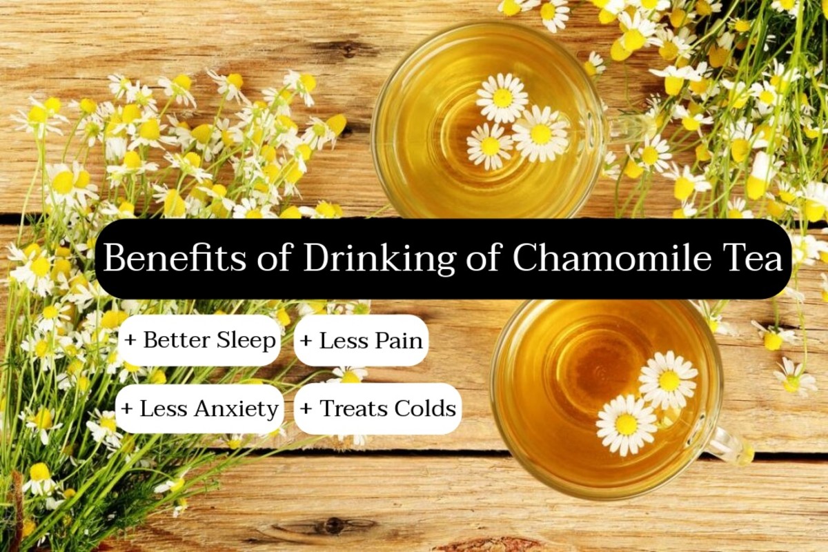 What Teas to Drink When You're Not Feeling Your Best RemedyGrove