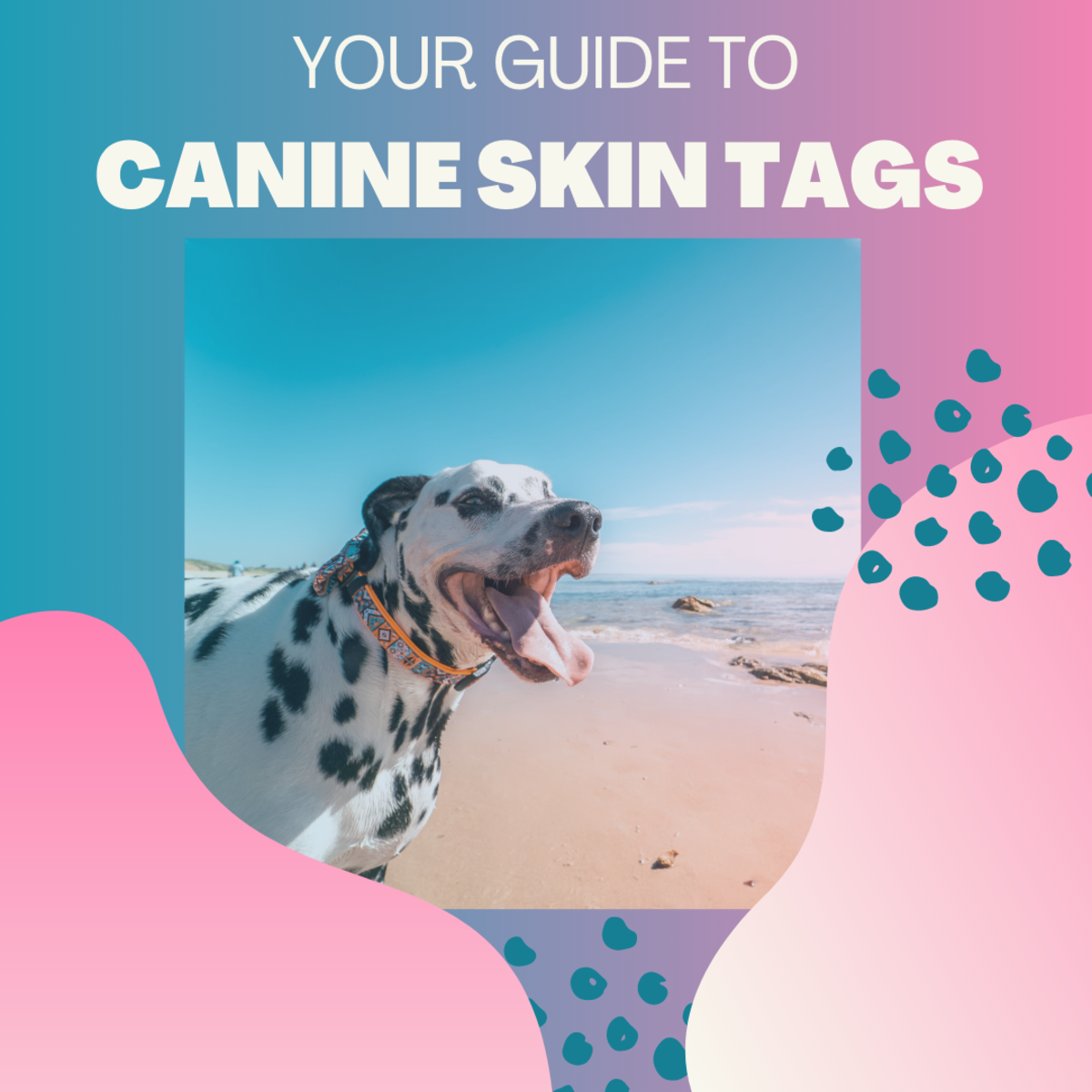 How to Remove and Prevent Skin Tags on Dogs