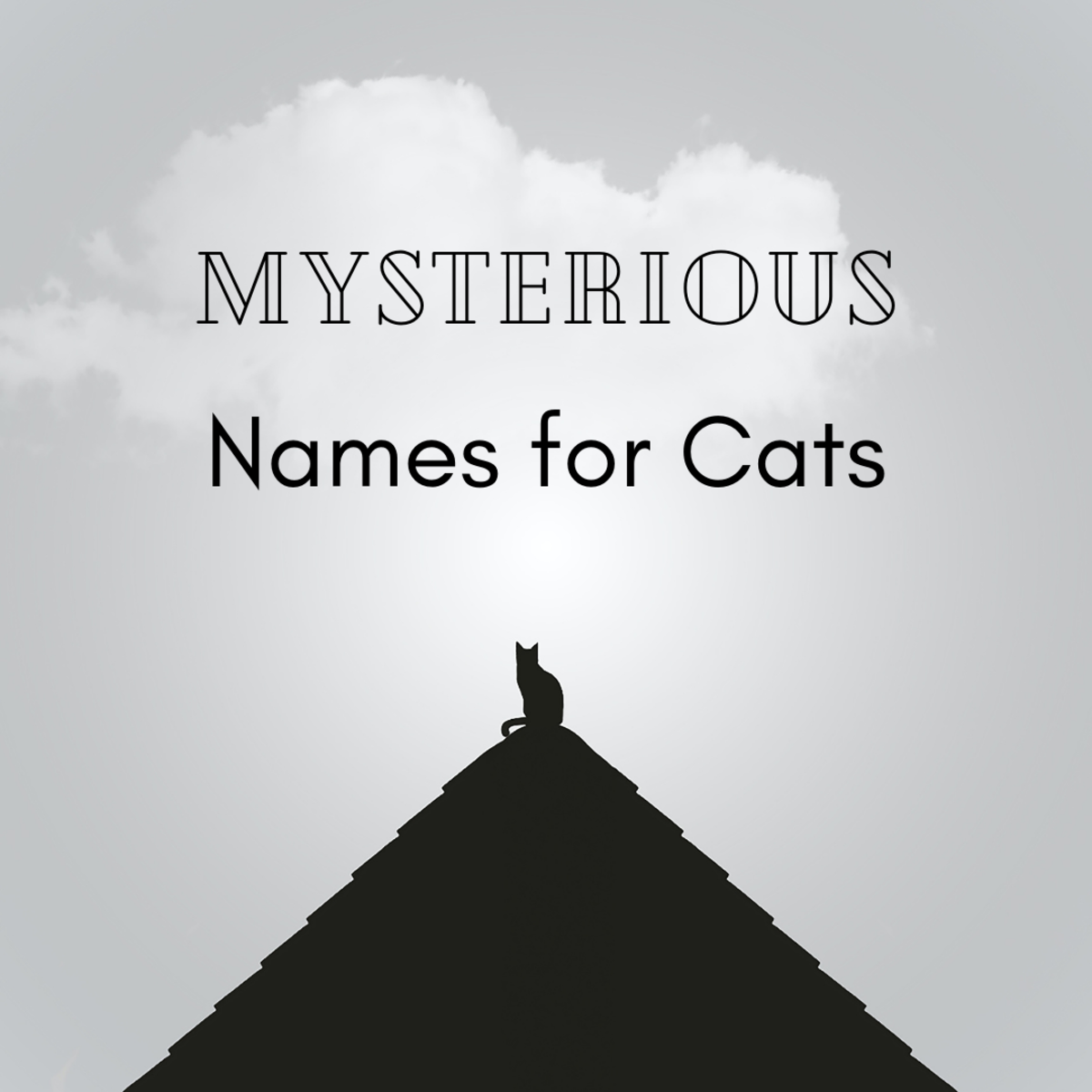 150 Mysterious Names for Cats