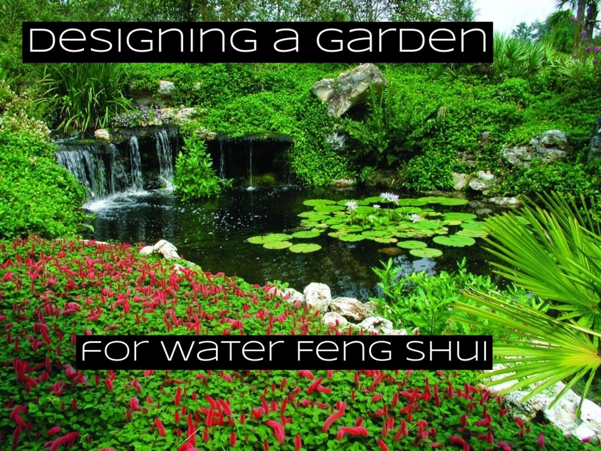 Feng Shui Water Fountain Direction 2024 - Luci Simona