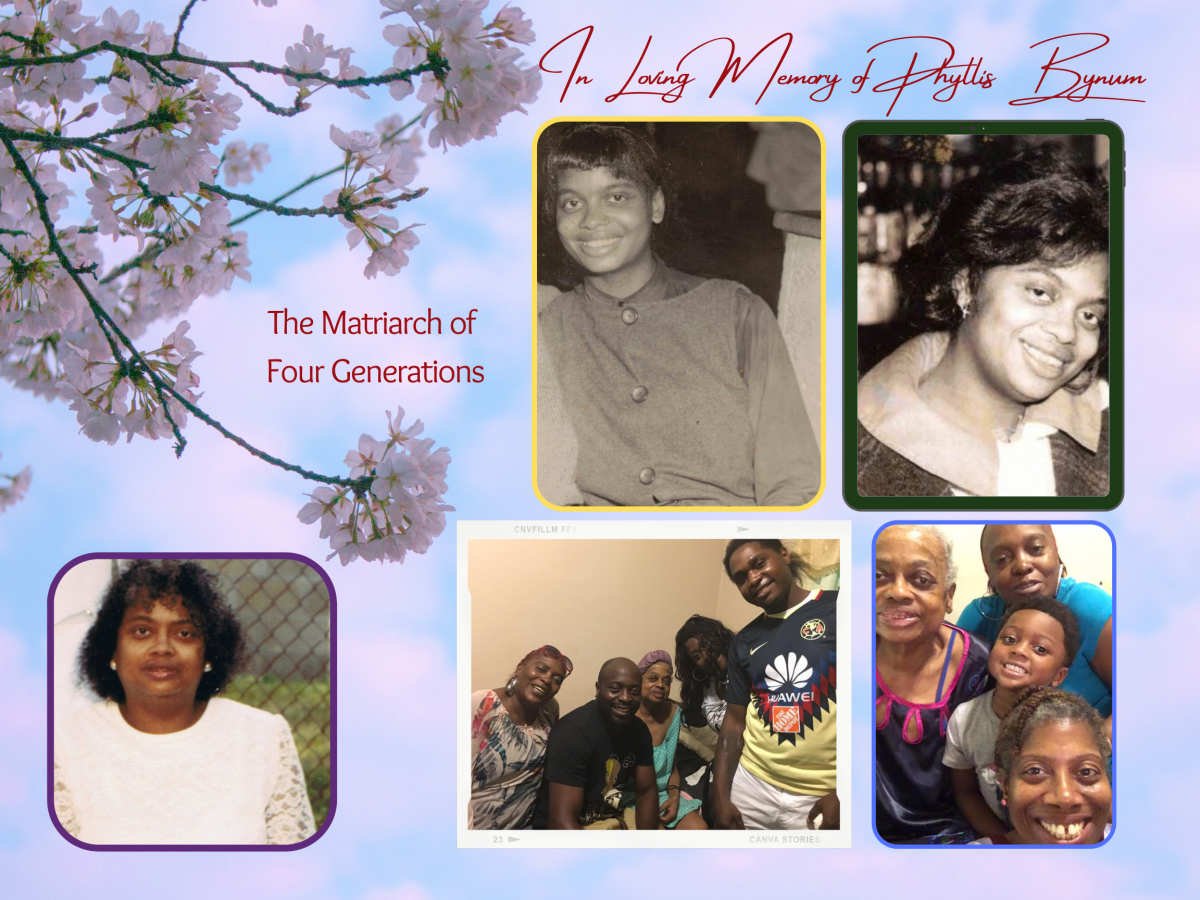 Caregiver Chronicles: Mom's Homegoing Journey