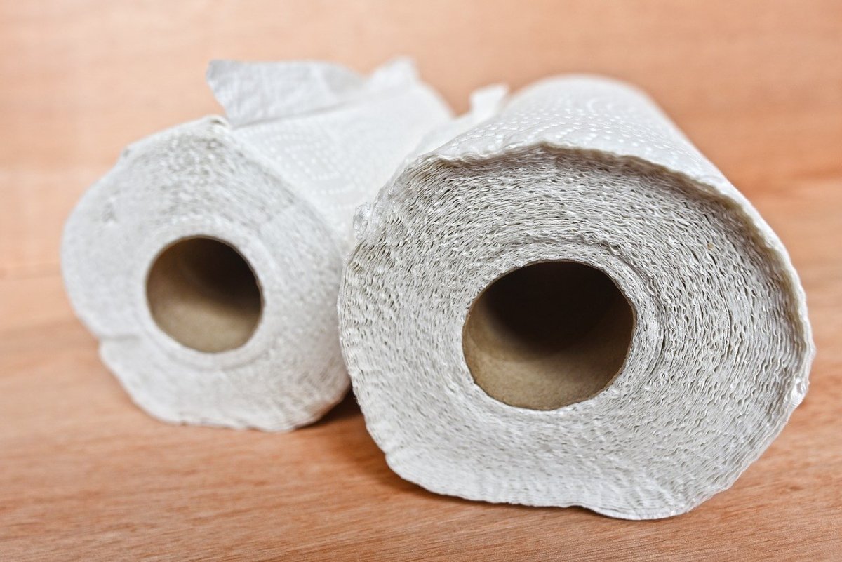 Wood pulp fibres from toilet paper, tissue, and paper towels can be a source of dust.