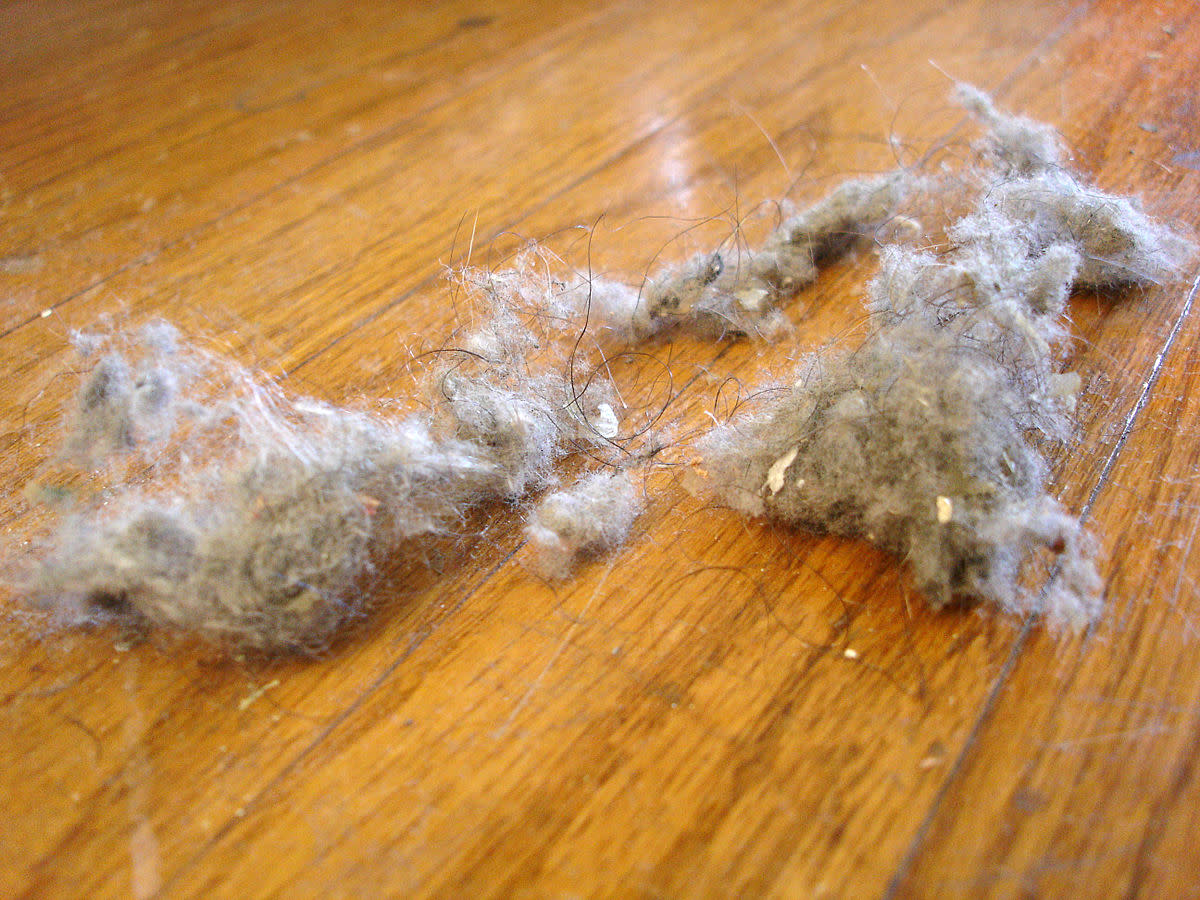 This article will explore the 12 main sources of household dust.