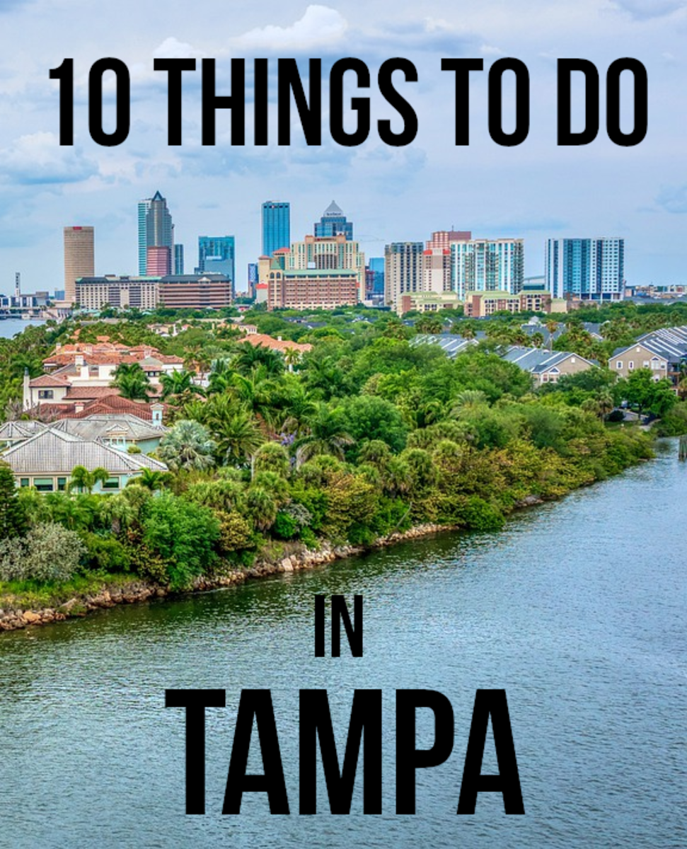 10 Fun Things To Do In Tampa Florida WanderWisdom