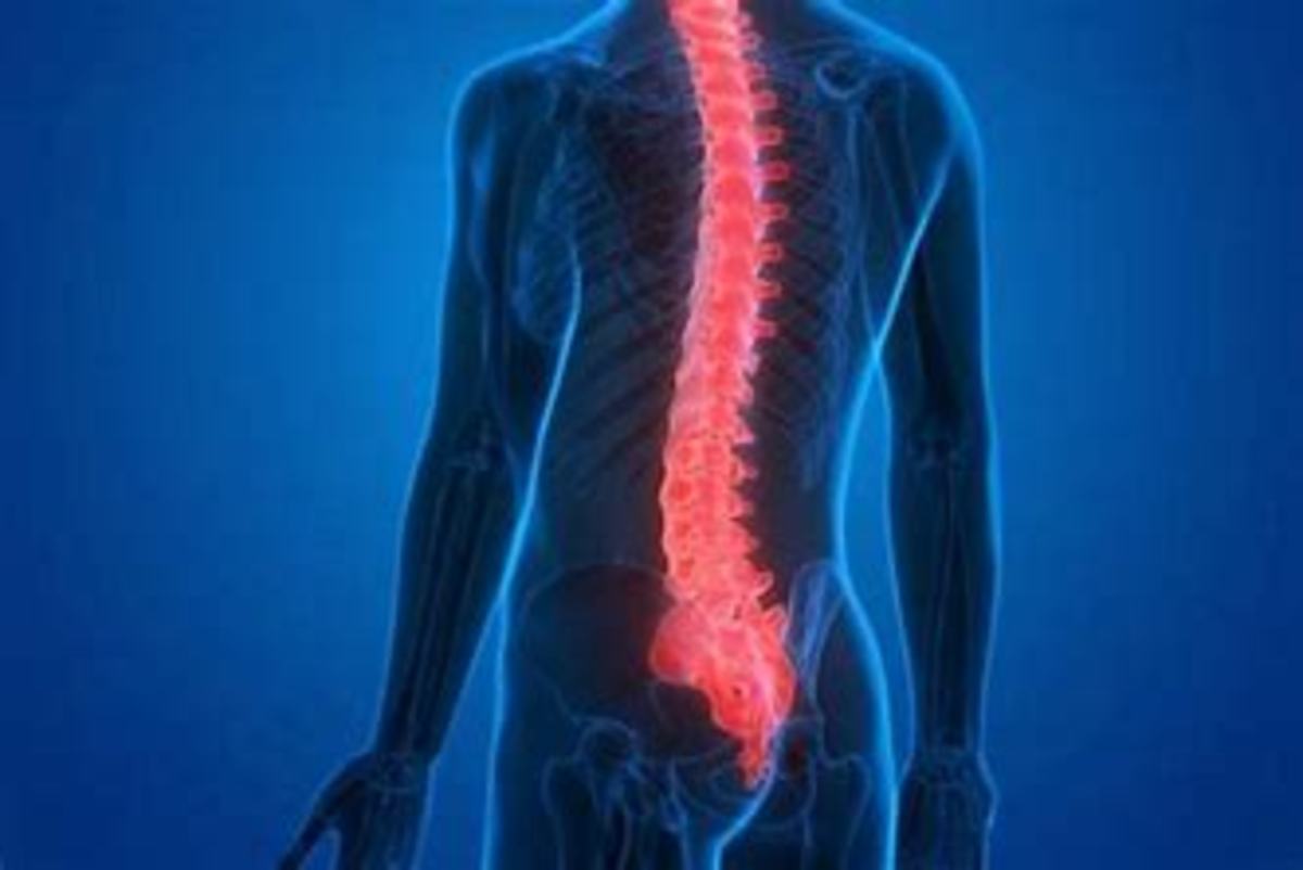 Shocking Ways Various Health Conditions Cured By Chiropractic Treatment ...