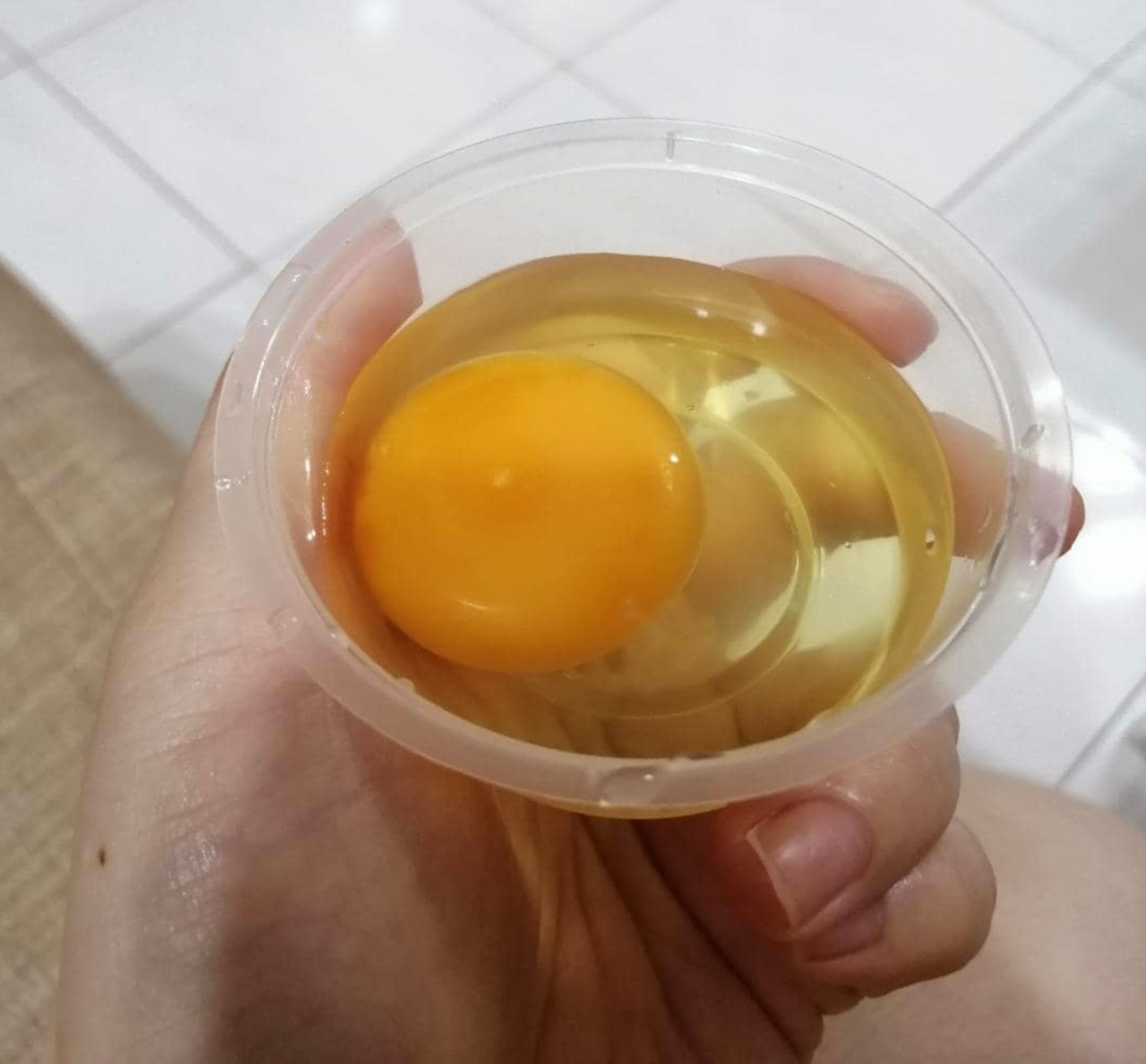 Free-range chicken egg 