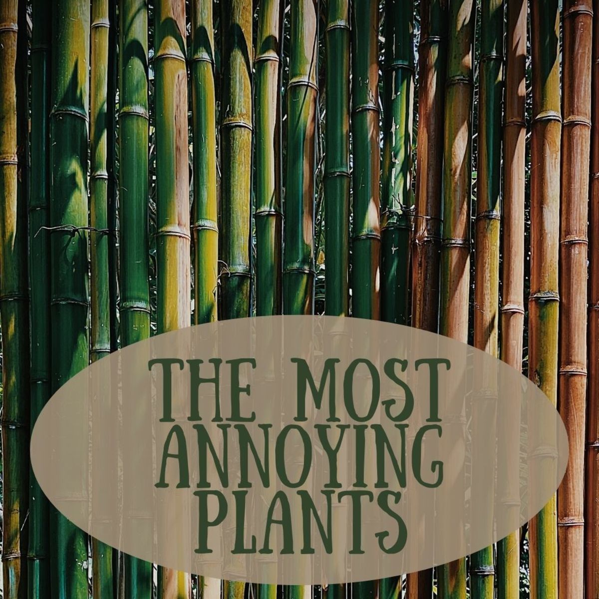 Ten PassiveAggressive Plants to Give Your Enemy Dengarden