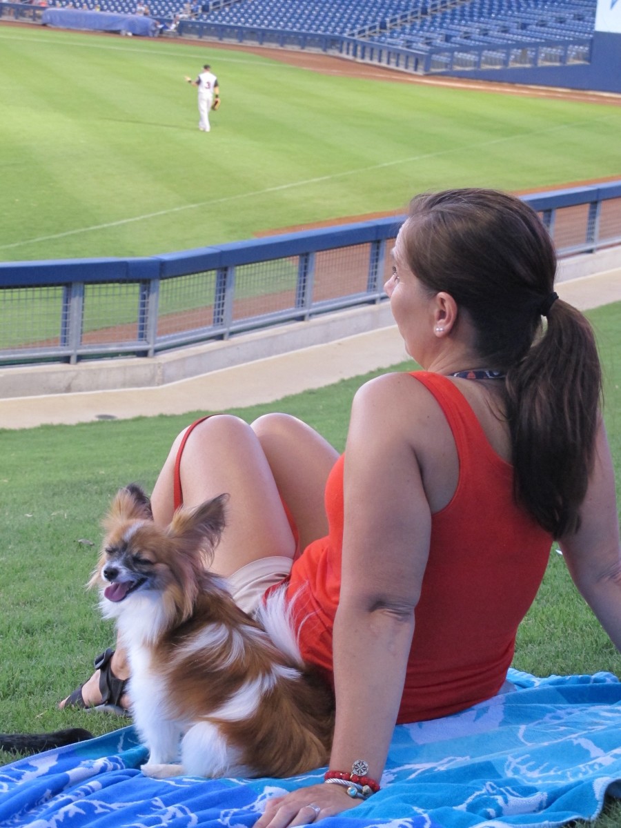 how-to-take-your-dog-to-a-major-league-baseball-game