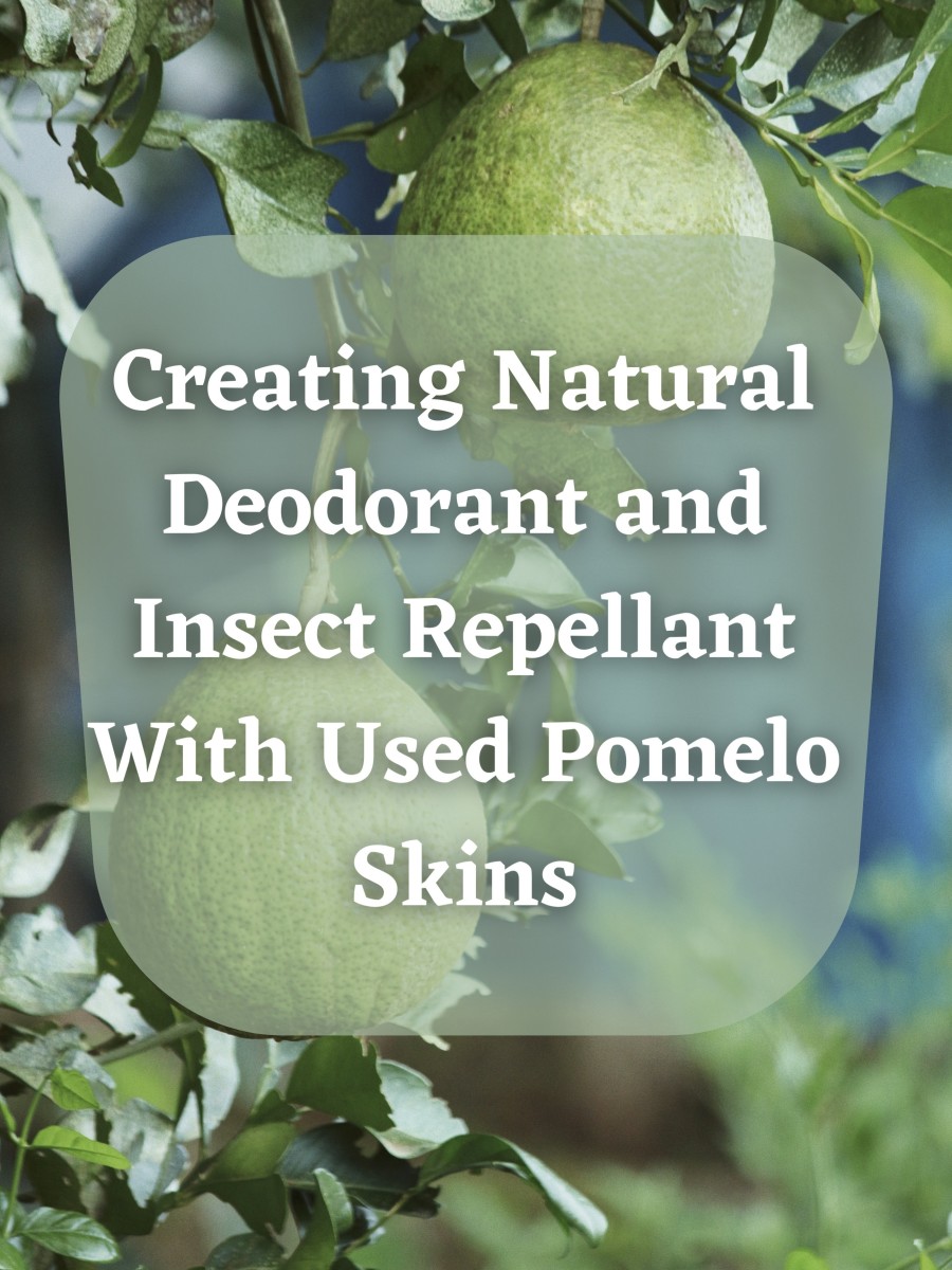 Upcycle your used pomelo skins into natural deodorant and insect repellant for use in your home.
