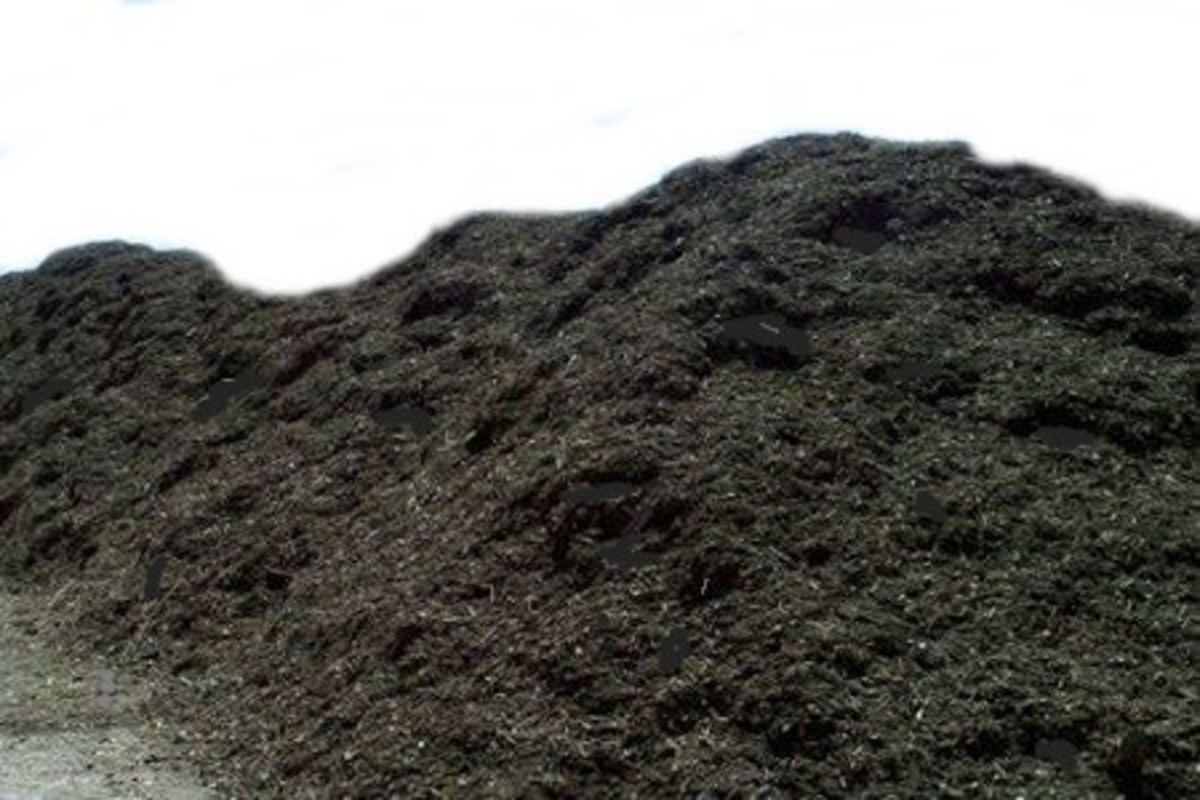 How to Dispose of Large Amounts of Old Potting Soil Dengarden