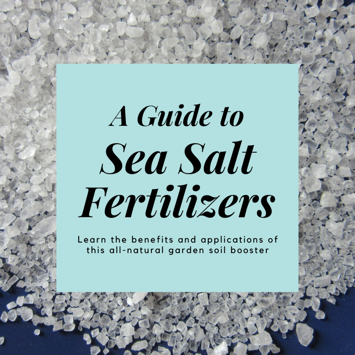 This article will provide you with plenty of information about sea salt fertilizers, including their benefits and applications.