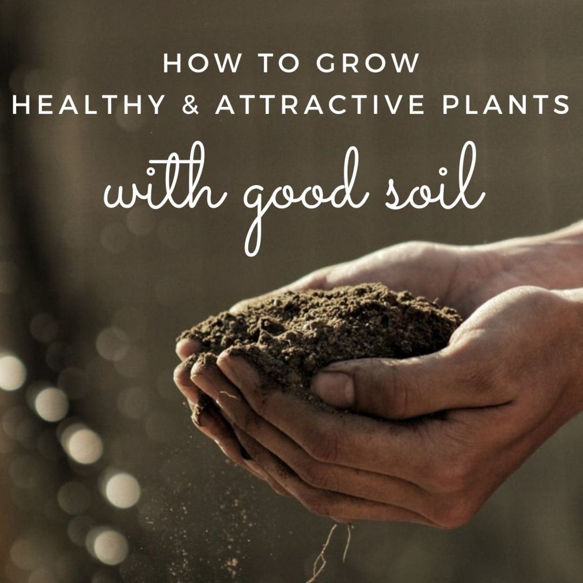 How to Prepare Your Soil for Attractive, Healthy Plants