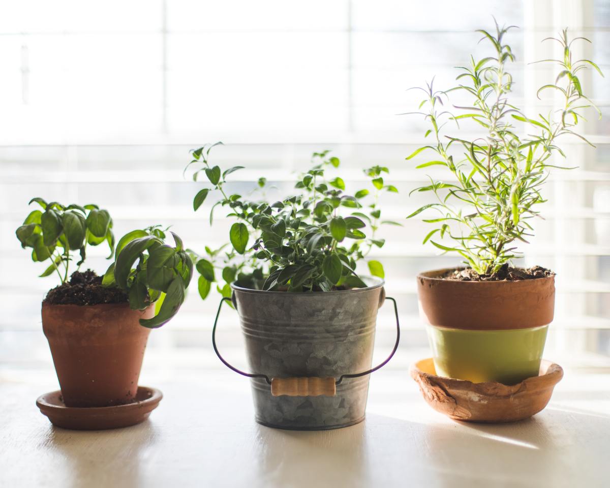 When you grow herbs yourself they are always on hand to add to recipes.