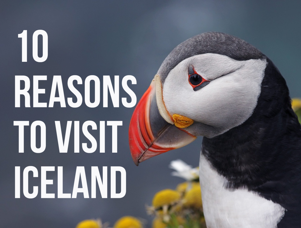 For my 10 reasons why you should visit Iceland, please read on...