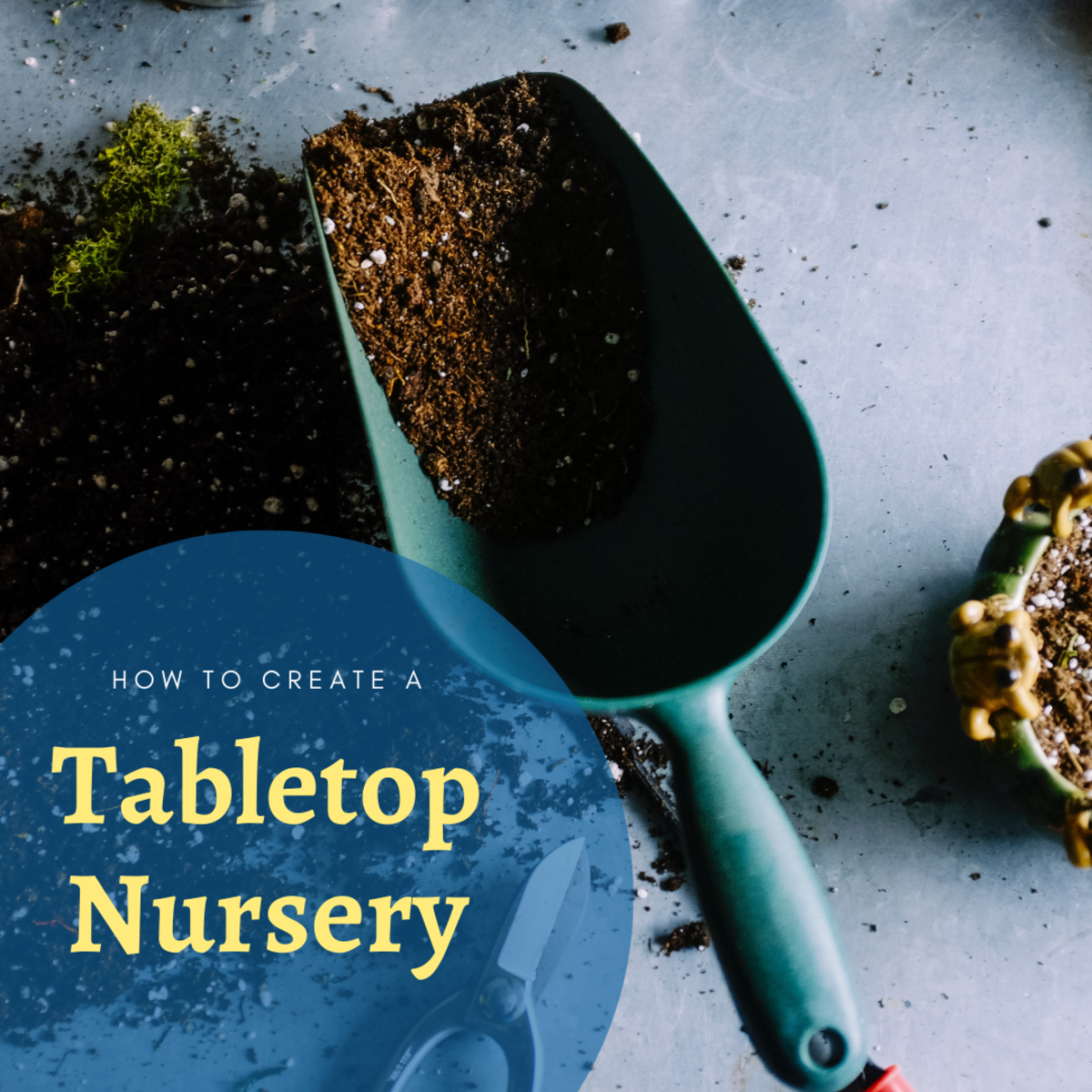 How to Make Money With a Tabletop Nursery