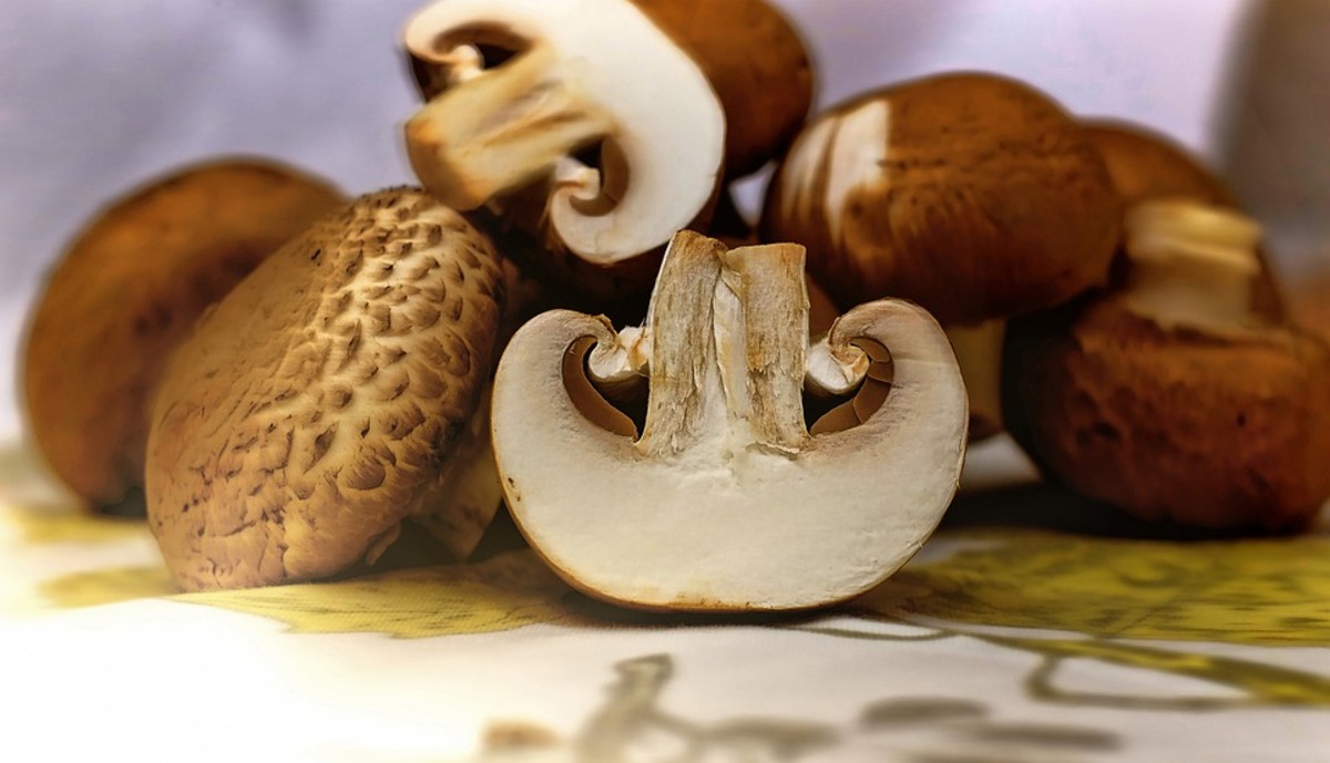 Medicinal Mushrooms and Cancer