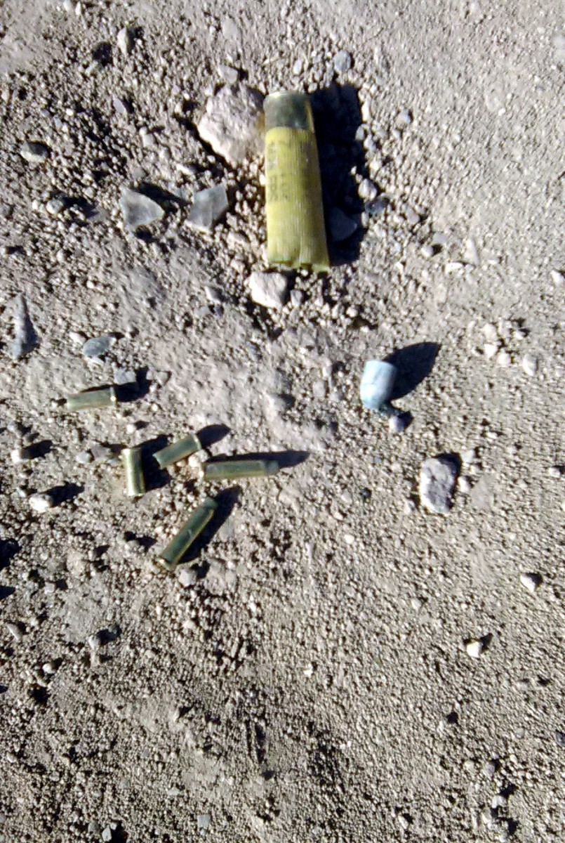 Though gathering brass shell casings is the goal, occasionally a bullet with a lead center is waiting to be picked up. 