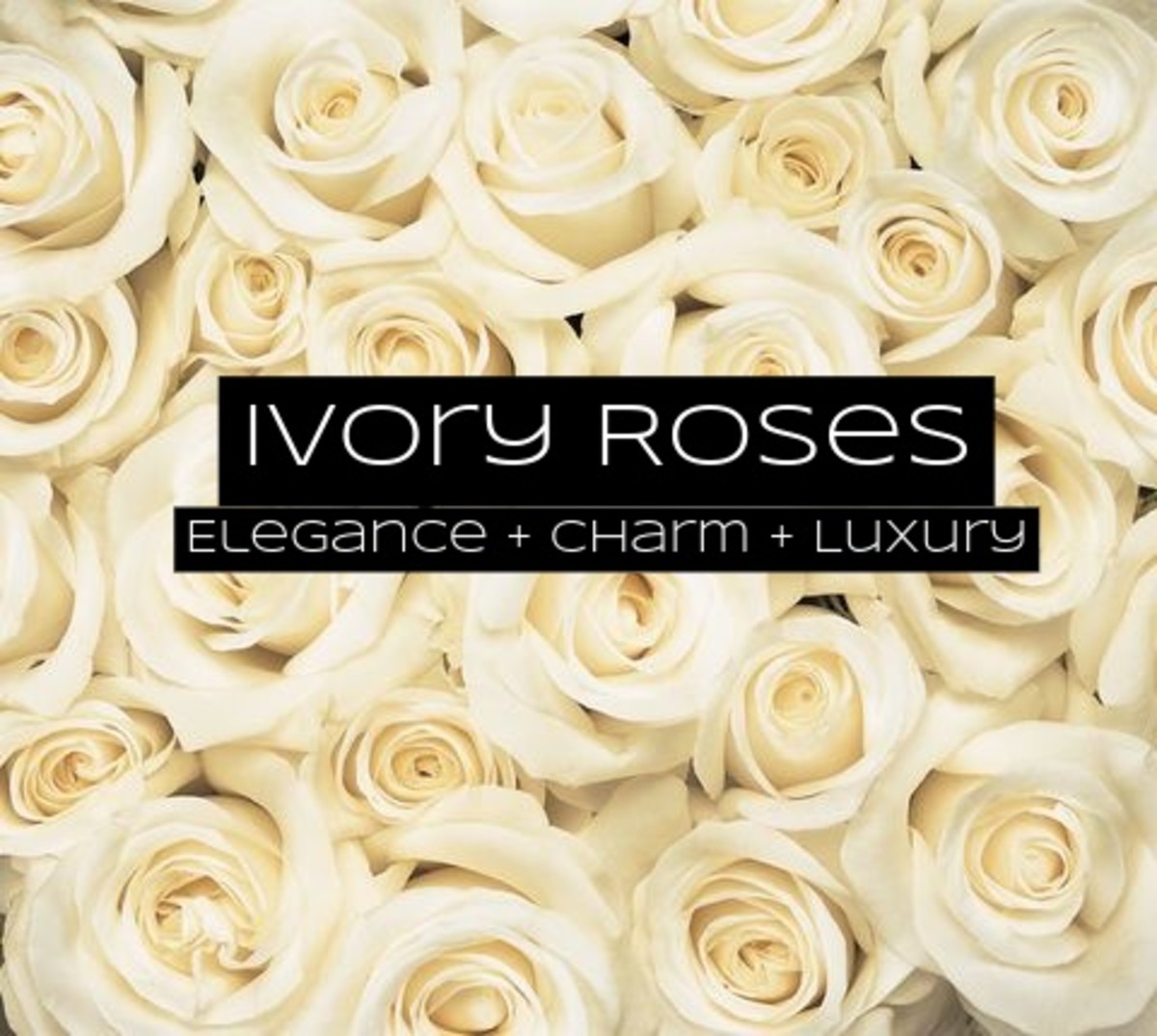 Ivory roses are for elegance, beauty, and luxury. They're great at posh parties.