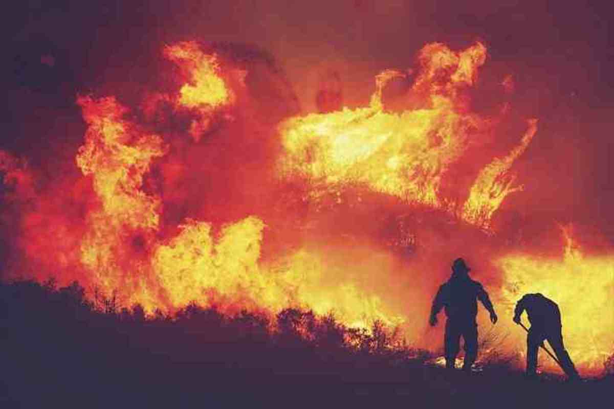 Fire of Australia