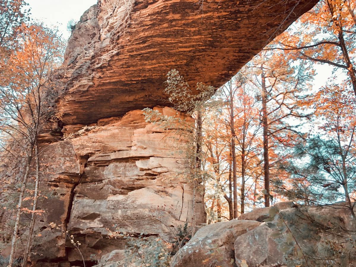 Kentucky's Red River Gorge is a breathtaking place to visit. 