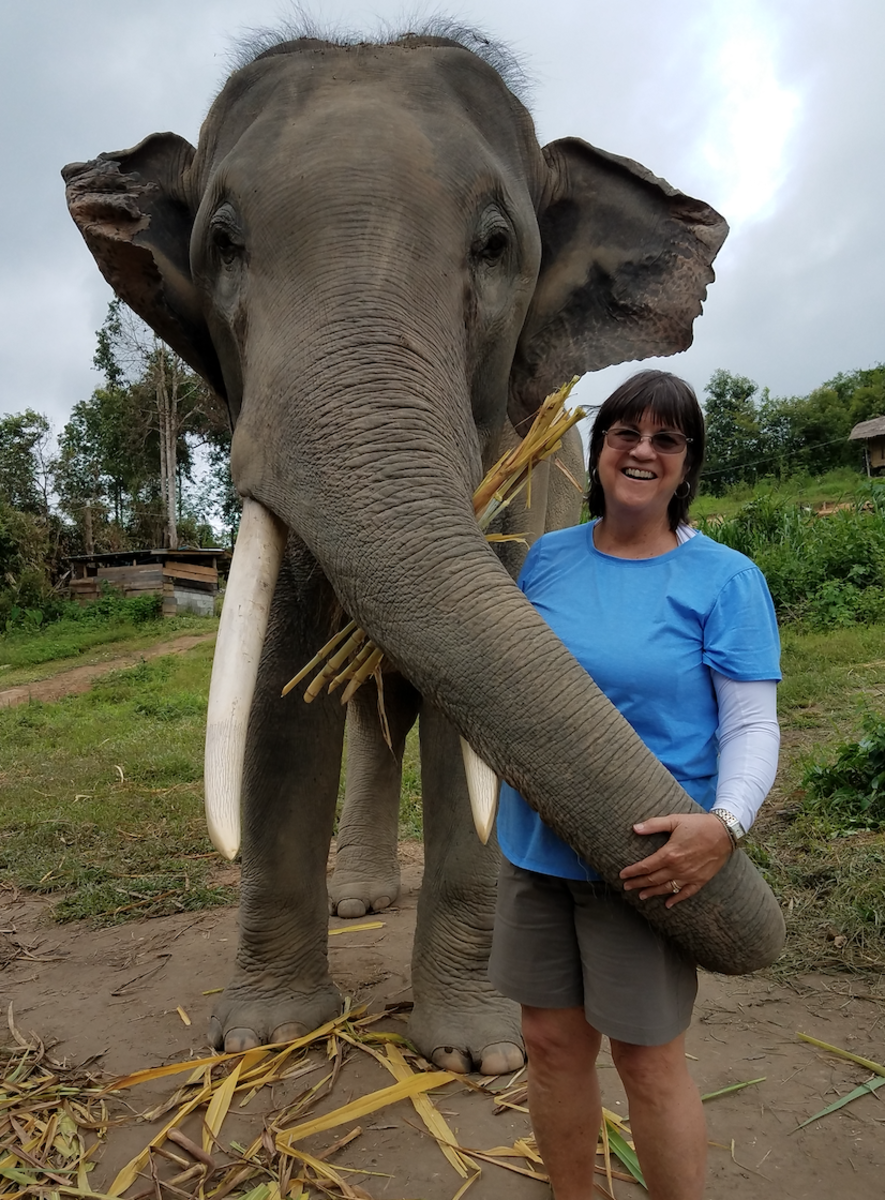Mary with an elephant in Thailand. According to Mary, " Travel is my favorite sport and have been to 86 different countries. My husband likes the cruising life but I prefer adventure."