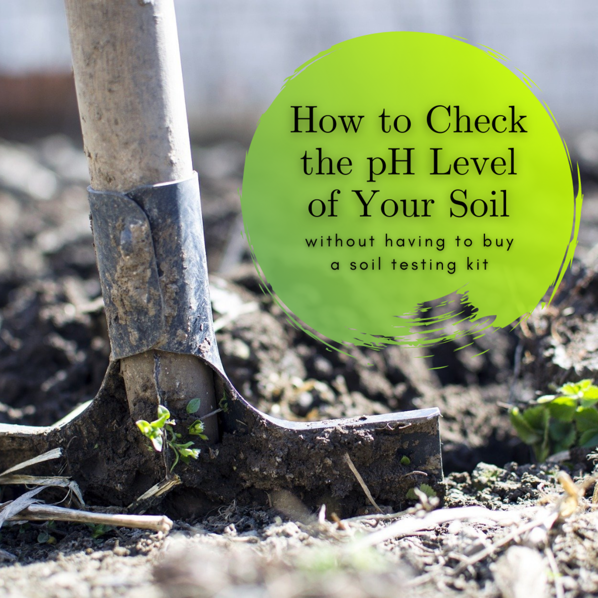 This guide will show you how to check the pH level of your soil without having to purchase an official soil testing kit.