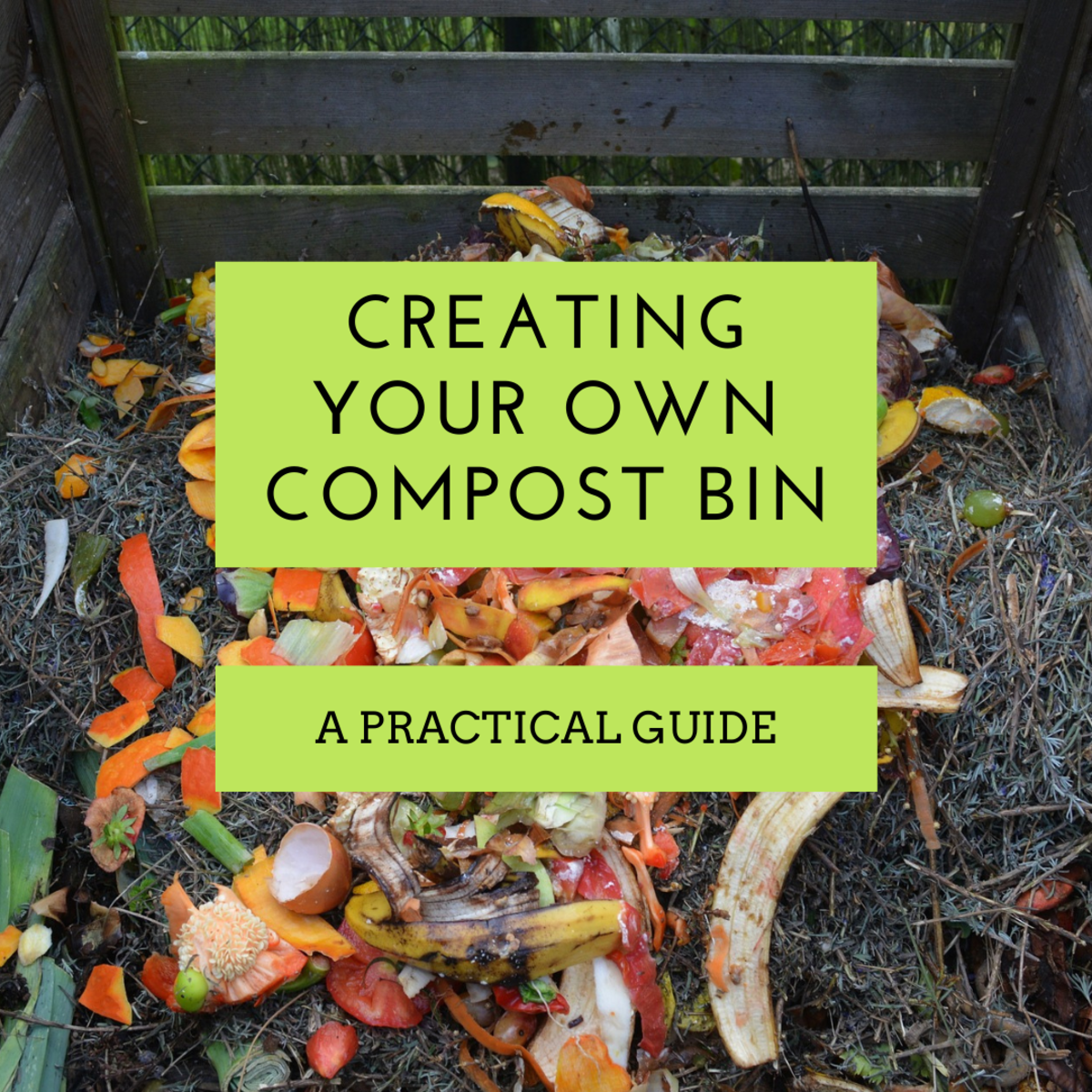 This article will show you how to put together your own compost bin and manage the health of your compost.