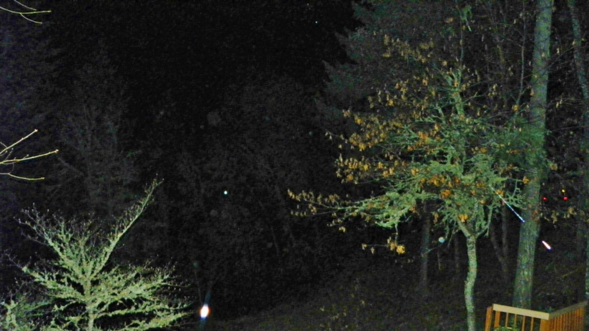 Bright white light of the Holy Spirit as it first appeared at the base of the Dogwood.