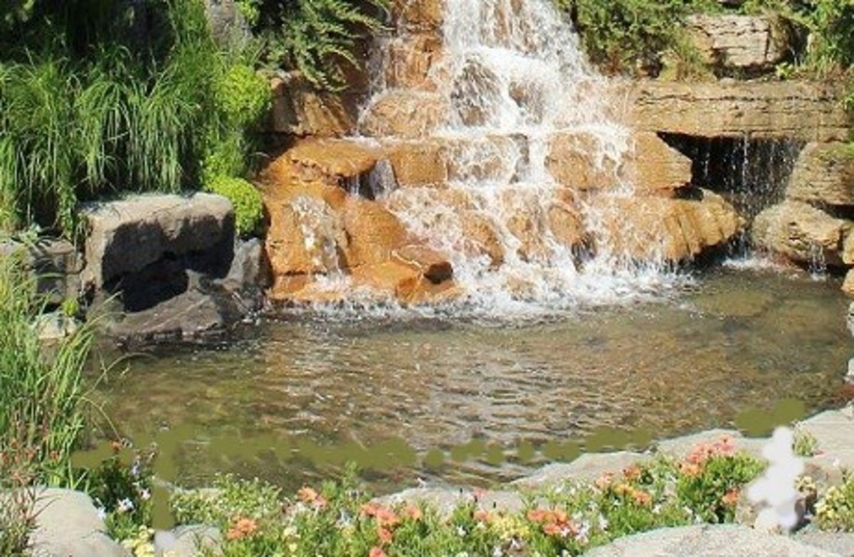 Waterfall Pond